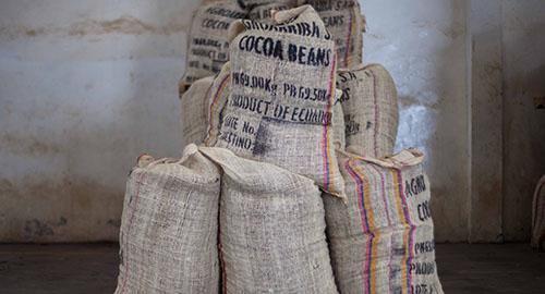 bags of cacao beans